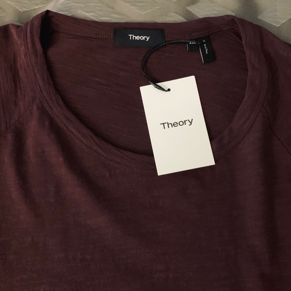 Theory Other - NWT Theory Dustyn Anemone Raglan Sleeve T-Shirt